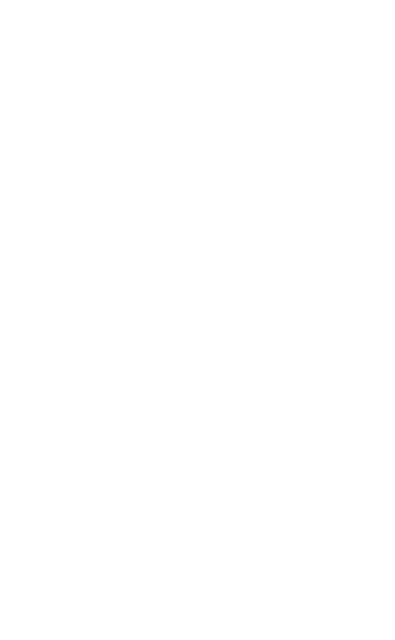 Strategici