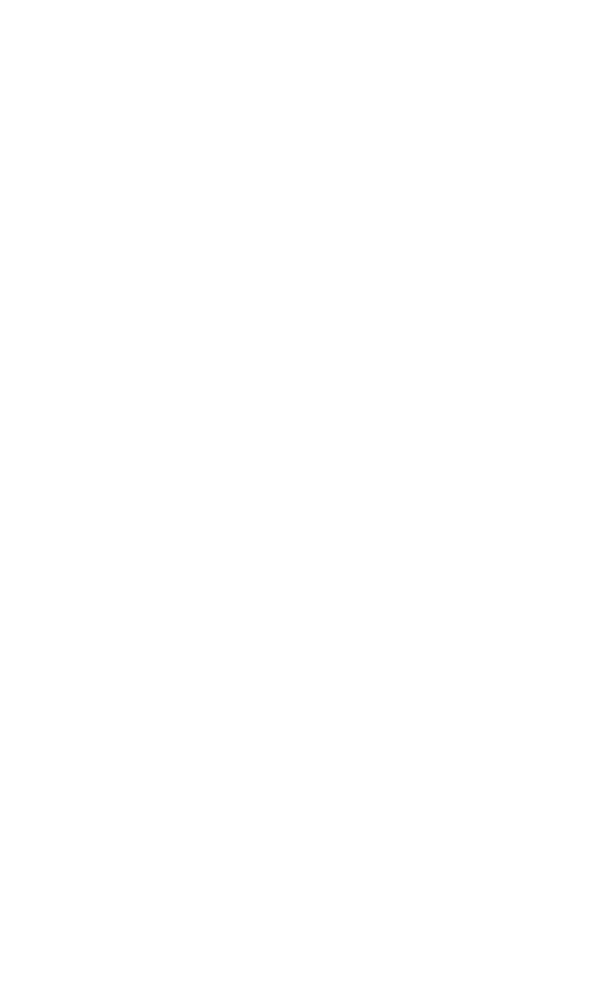 Partner American Express