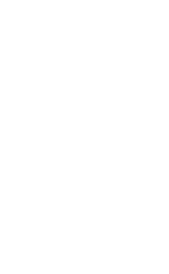 Partner Arsenale